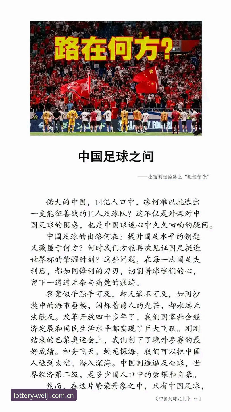 中国足球禁足令深度解析：行业整顿vs未来发展，维基娱乐平台用户如何看懂这场风暴？